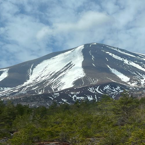 「2024織襪同業花見輕井澤富士山三溫泉悠活五日之旅」~3